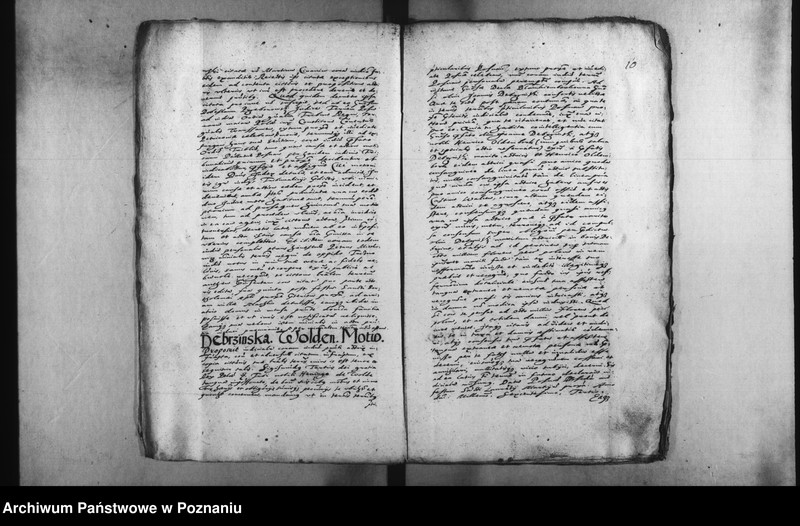 Obraz 14 z jednostki "Decreta [inducta]"