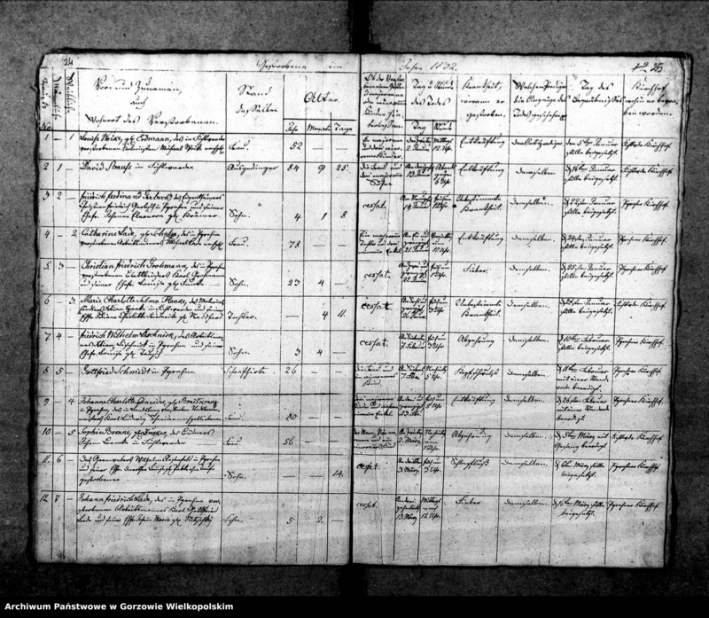 Obraz 18 z jednostki "Duplikate der Kirchenbücher von Pyrehne (Pyrzany): Pyrehne (Pyrzany), Woxholländer (Oksza), Logau (Łagów), Schützensorge (Kłopotowo), Pyrehner Holländer (Pyrzanki), Gross Rehne (Rań), Enterwerder (Kownatki), Stremeltswerder, Radewiesen (Zagajno), Ludwigshof (Okrąglica)."