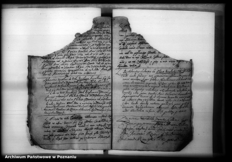 Obraz 16 z jednostki "Iuramenta [protocollon]"