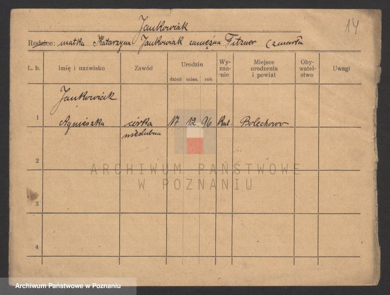 Obraz 14 z jednostki "Jankowiak (samotne kobiety)"