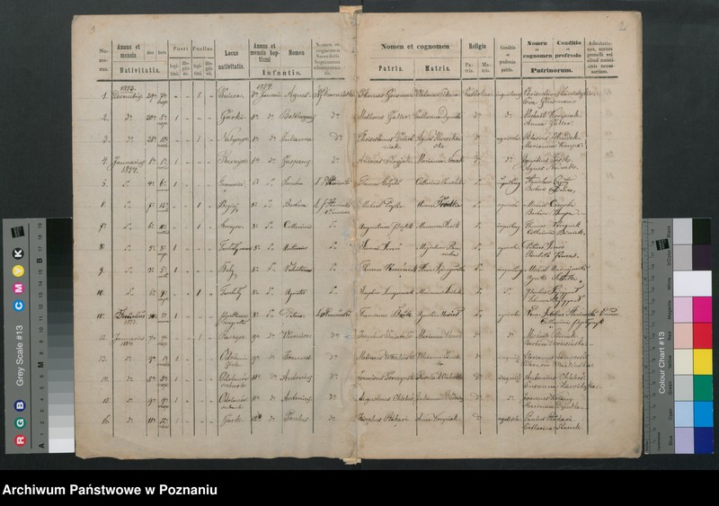 Obraz z jednostki "Duplikat baptisatorum"