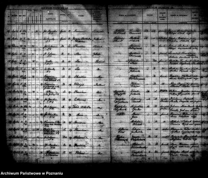 Obraz 12 z jednostki "Księga urodzin"