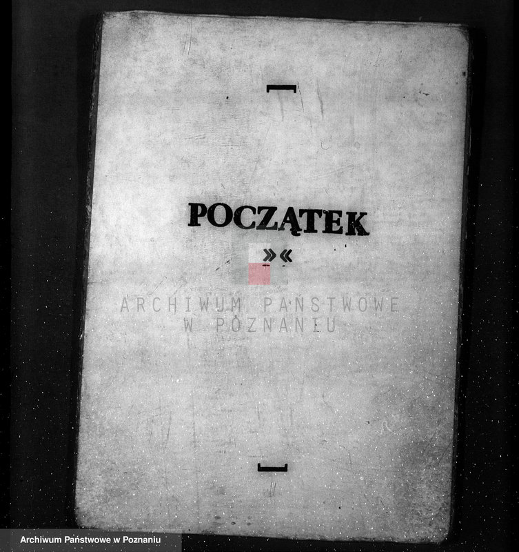 Obraz 3 z jednostki "/Nadzór nad gospodarką w lasach majątku Lubień-Helowskie w powiecie nowotomyskim"