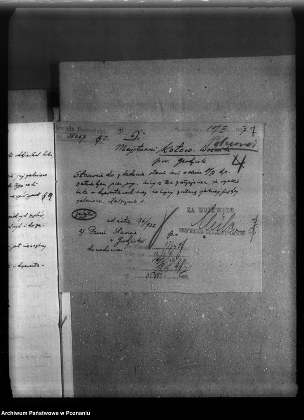 Obraz 11 z jednostki "Majętność leśna Kotowo-Wożniki powiat nowotomyski"