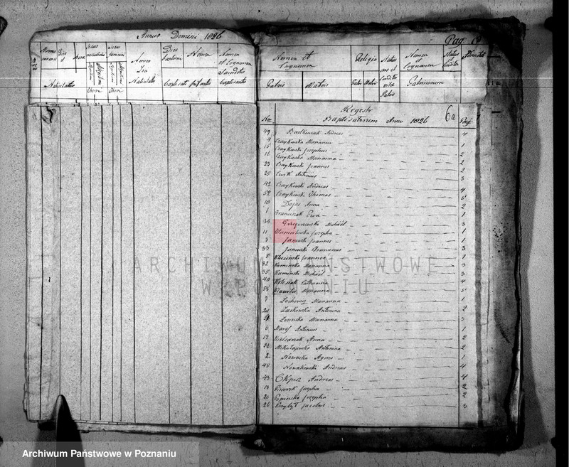 Obraz 8 z jednostki "Duplikat baptisatorum, copulatorum u. mortuorum"