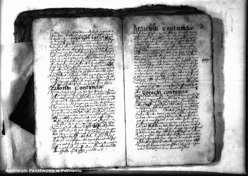 Obraz 9 z jednostki "Decreta iudicii [inducta]"