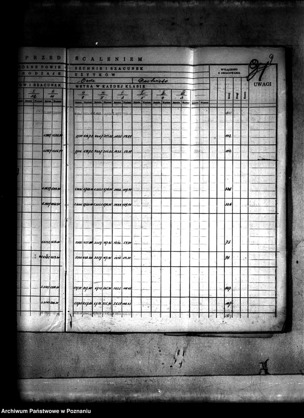 Obraz 12 z jednostki "Szczegółowy rejestr pomiarowo-szacunkowy wsi Spławie powiatu konińskiego przed scaleniem"