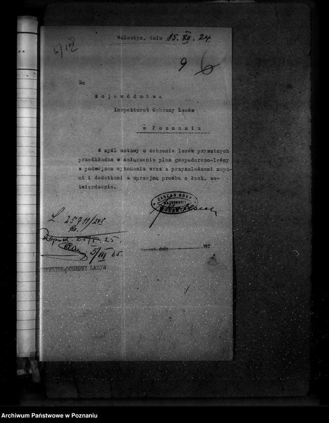 Obraz 13 z jednostki "Majętność leśna Wolsztyn powiat Wolsztyn"