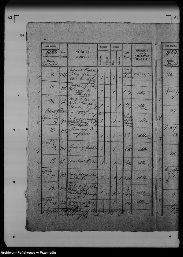 Obraz 16 z jednostki "[Kopie ksiąg metrykalnych parafii Wólka Mazowiecka (dekanat Rawa Ruska)]"