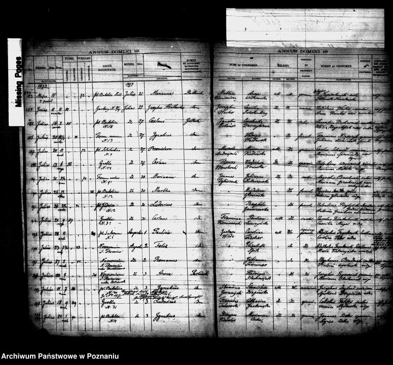 Obraz 16 z jednostki "Księga urodzin"