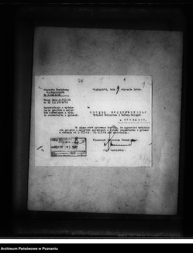 Obraz 5 z jednostki "Majątek Muchocin powiatu międzychodzkiego wyłączenie z art. 4/5 ustawy o wykonaniu reformy rolnej"