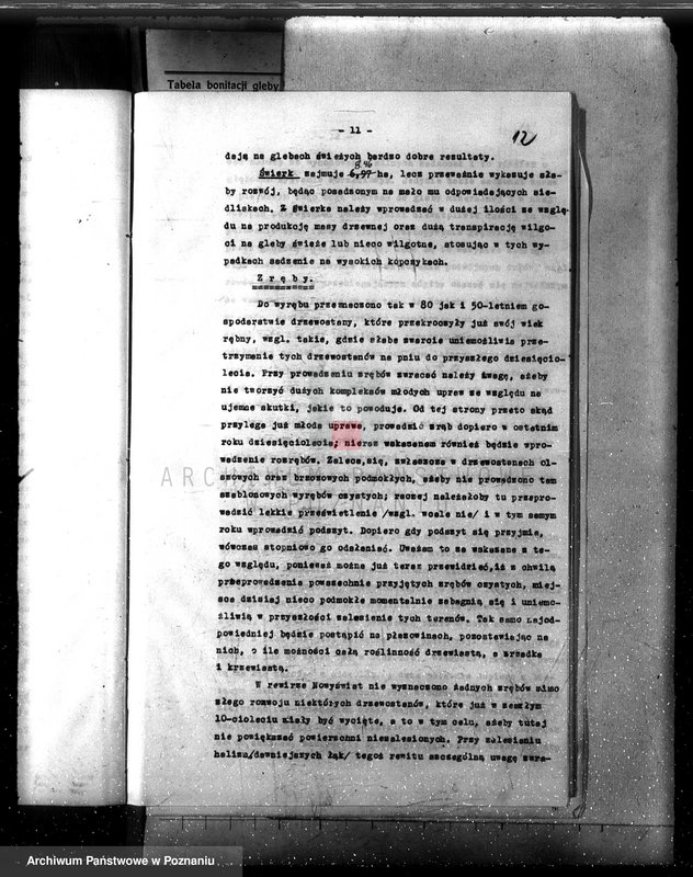 Obraz 16 z jednostki "Las majętność /Siekówko/ powiat kościański plan urządzenia 1933-1943"