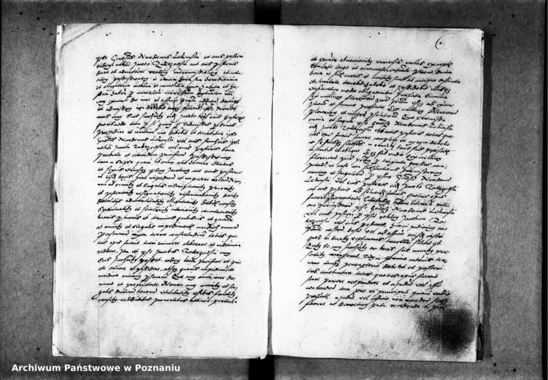 Obraz 10 z jednostki "Inscriptiones, relationes [inducta]"