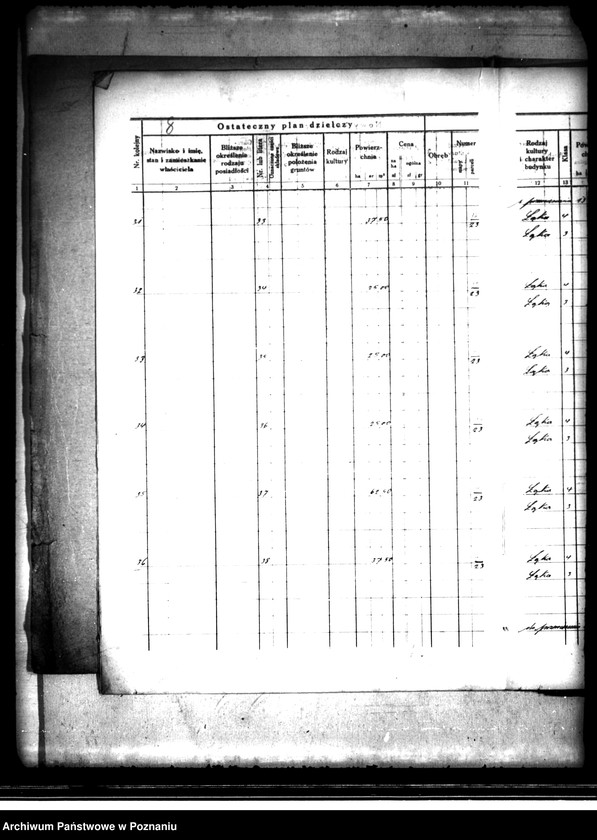 Obraz 12 z jednostki "Ostateczny plan dzielczy i nowy kataster majątku Trzcinica powiatu kępińskiego parcelacja prywatna"