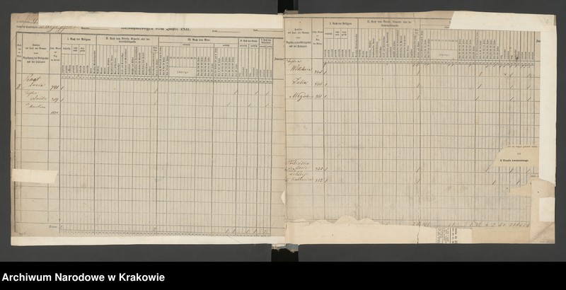 Obraz z jednostki "Spis ludności 1857, Dz.VIII, nr 9-180, T. 12"