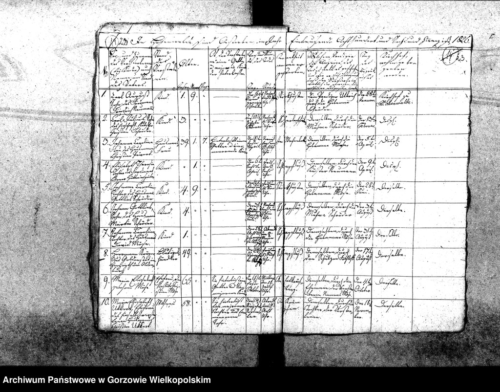 image.from.unit.number "Duplikate der Kirchenbücher von der Parochie Hohenwalde (Wysoka)"