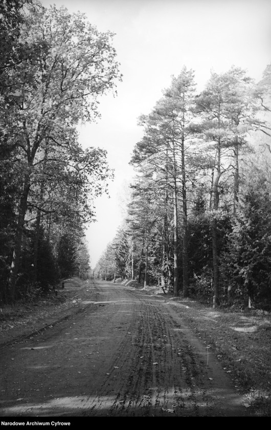 Obraz z zespołu "Archiwum fotograficzne Henryka Poddębskiego"