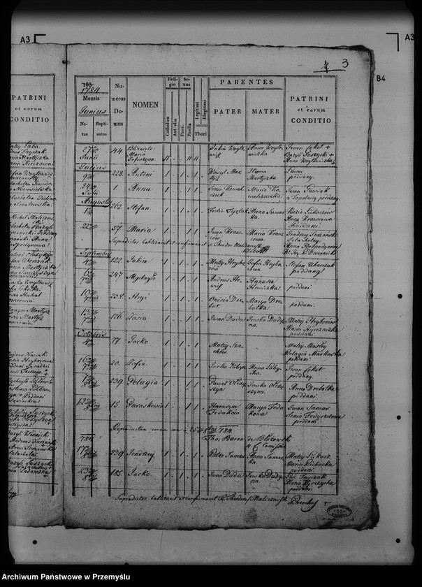 Obraz 7 z jednostki "[Kopie ksiąg metrykalnych parafii Turze (dekanat Rozłucz)]"