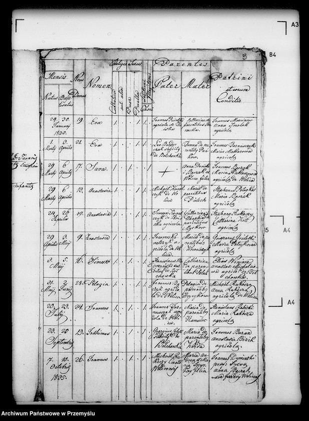 Obraz 7 z jednostki "[Kopie ksiąg metrykalnych parafii Wolica z filiami Bełchówka, Zboiska (dekanat Buków)]"