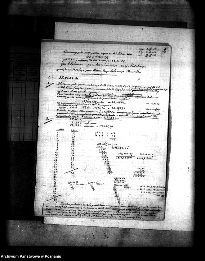 Obraz 7 z jednostki "Podział wspólnego pastwiska wsi Oleśnica powiatu konińskiego"