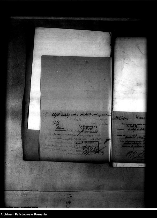 Obraz 15 z jednostki "Podanin - parcelacja majątku"