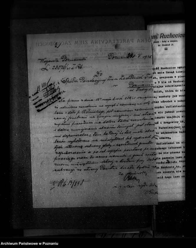 Obraz 6 z jednostki "Majętność leśna Ruchocice powiat wolsztyński"