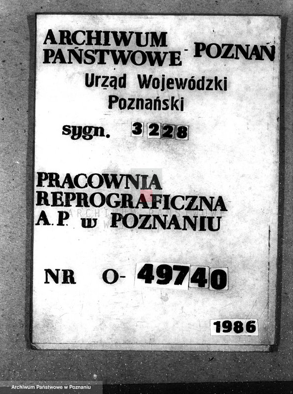 Obraz 1 z jednostki "Majętność /leśna/ Ni echanowo w powiecie gnieźnieńskim"