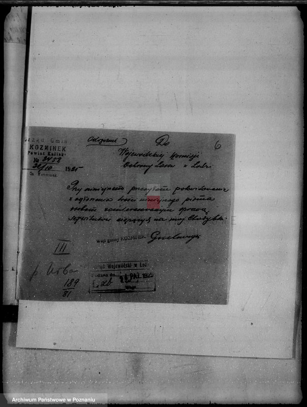 Obraz 10 z jednostki "Gmina Koźminek powiat kaliski /sprawy leśne/"