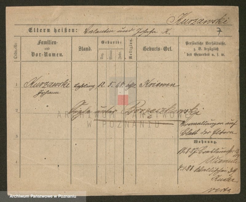 Obraz 7 z jednostki "Kurs - Kusz"