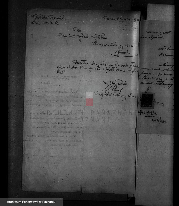 Obraz 10 z jednostki "Majętność leśna Swadzim powiat poznański"