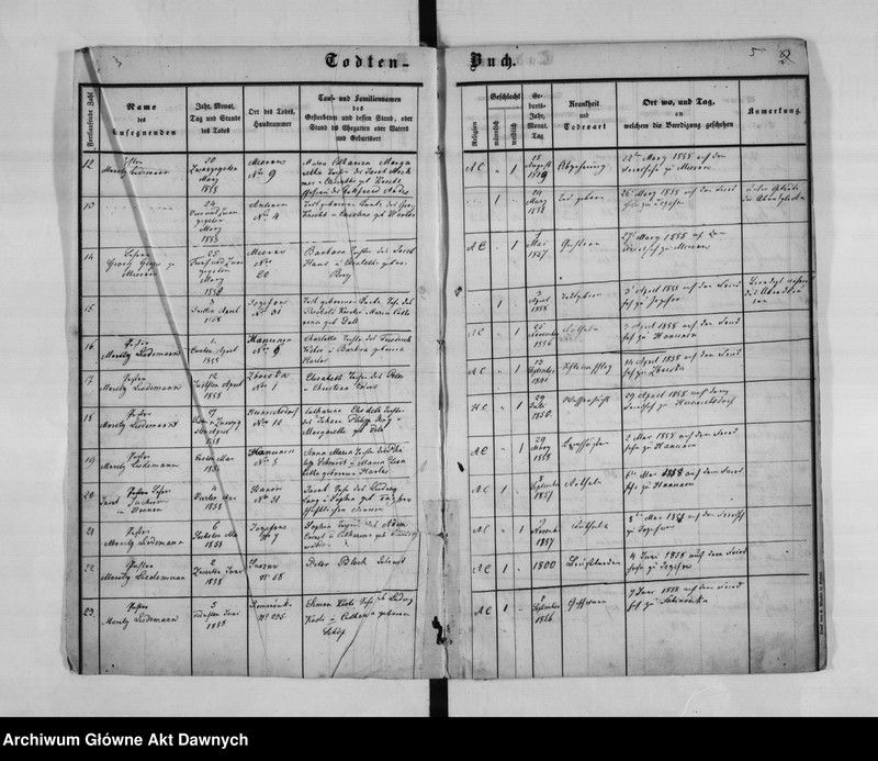 Obraz z jednostki "Gmina: Józefów. Seniorat: średni. Konfesja: augsburska. Ksiega metrykalna zgonów. Tom IV."