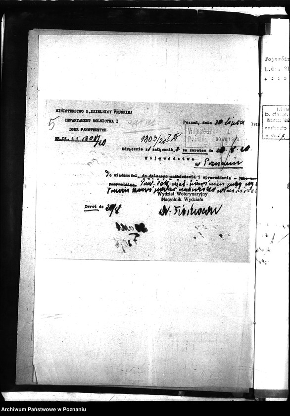 Obraz 9 z jednostki "Nosacizna - Witkowo"