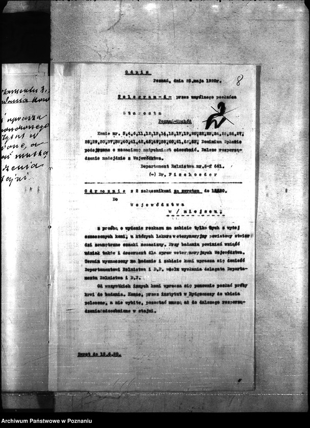 Obraz 12 z jednostki "Nosacizna - Poznań-Wschód"