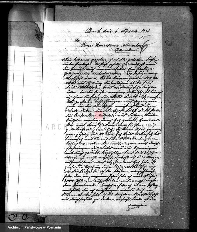 Obraz 19 z jednostki "Nadzór nad gospodarką w lasach majątku Osuch /Z. Busse/ w powiecie czarnkowskim"