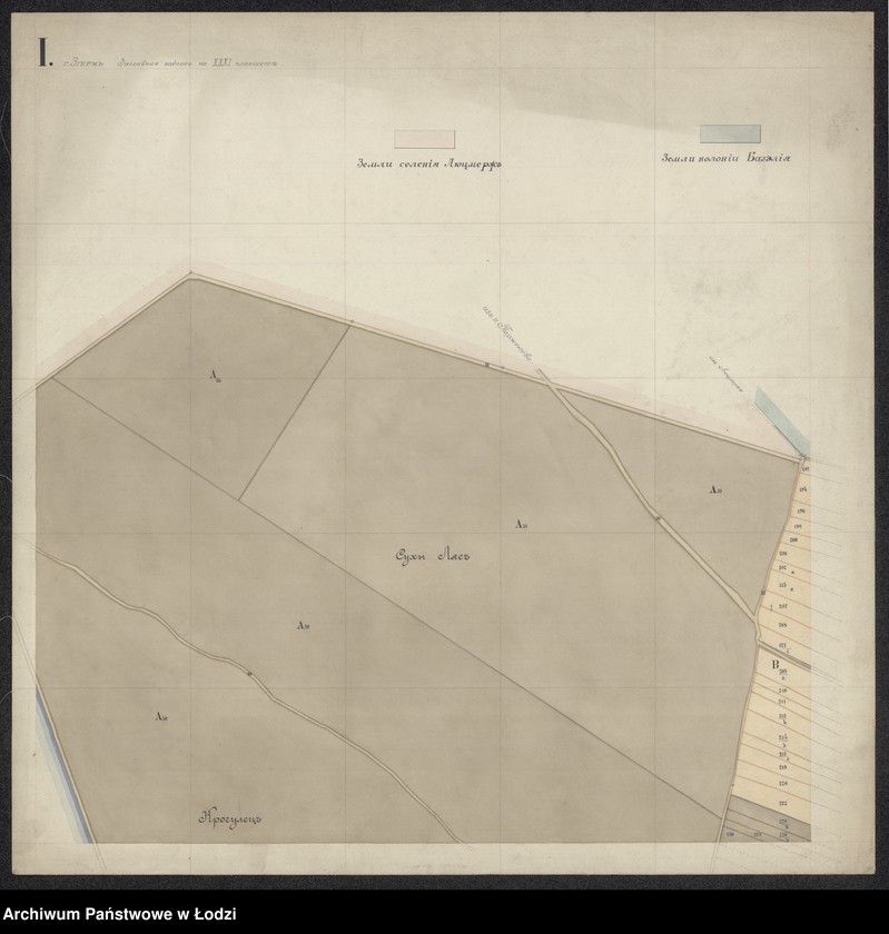 Obraz 1 z jednostki "Plan
