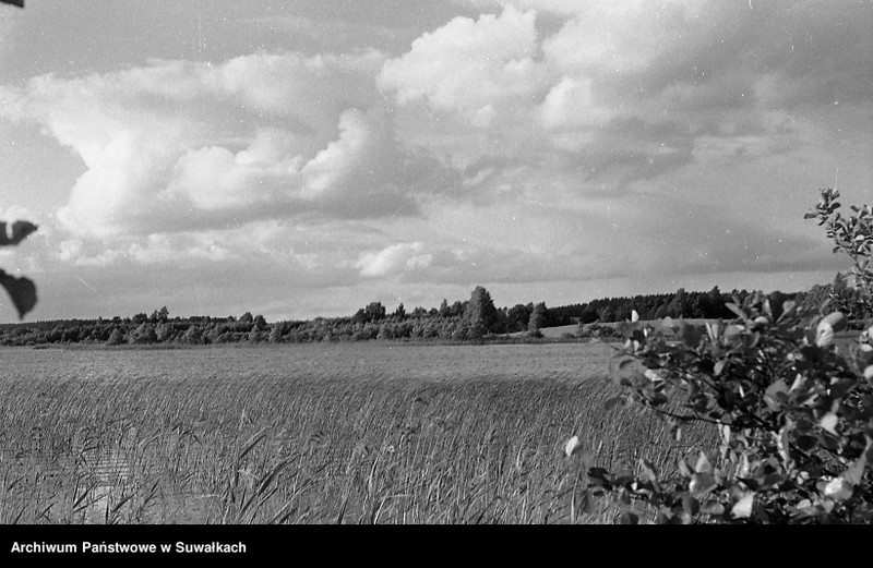 image.from.unit.number "Uprawa zboża w [okolicach Olecka ?]"