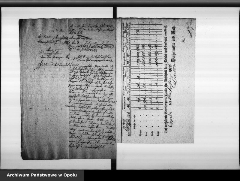 Obraz 19 z jednostki "Acta des Magistrats zu Oppeln von Monatlichen Zeitungs Berichte der Preiss Tabelle und diesfällige Corespondence Vol. XI angefangen im Juny 1806 bis ult[imo] Dec[ember] 1810"