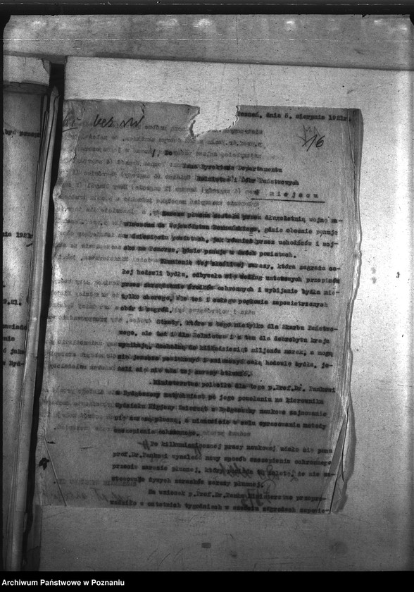 Obraz 19 z jednostki "Zaraza płucna - szczepienia ochronne"