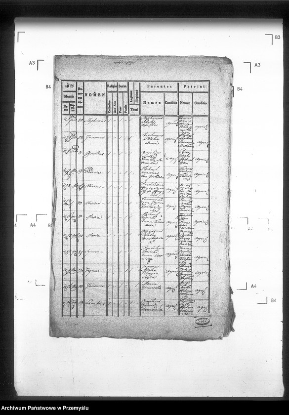 Obraz 5 z jednostki "[Kopie ksiąg metrykalnych parafii Hruszów z filiami Budomierz, Kłonice, Szczepłoty (dekanat Niemirów)]"