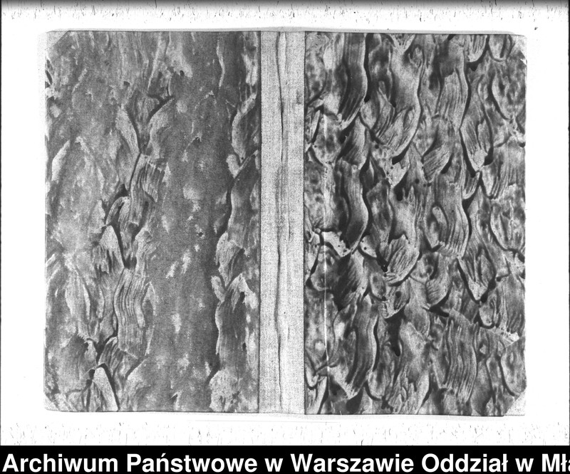 image.from.unit.number "Akta urodzin, małżeństw i zgonów"