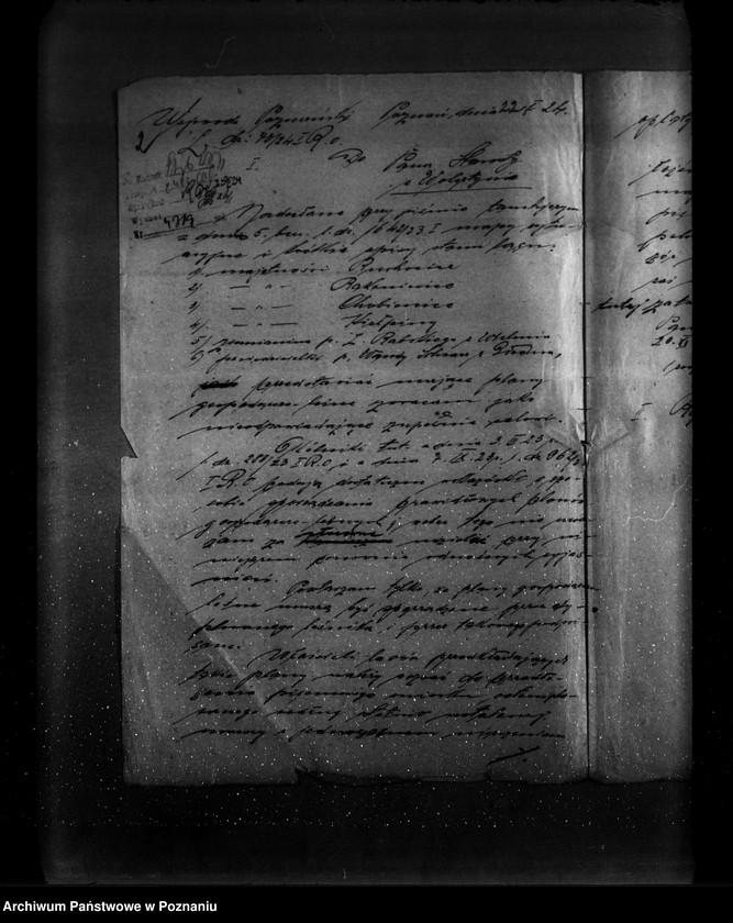 Obraz 6 z jednostki "Majętność leśna Rakoniewice powiat wolsztyński"