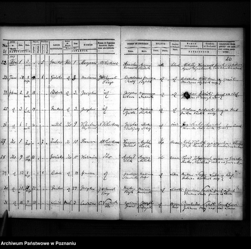 image.from.team "Akta stanu cywilnego Parafii Rzymskokatolickiej Lwówek (pow. nowotomyski)"