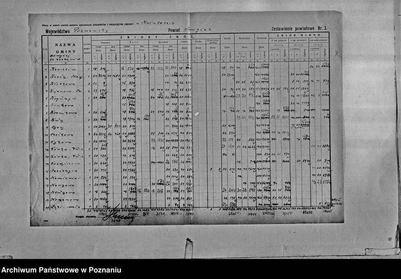 Obraz 18 z jednostki "/Statystyka produkcji rolnej - zestawienie powiatowe - Śmigiel"