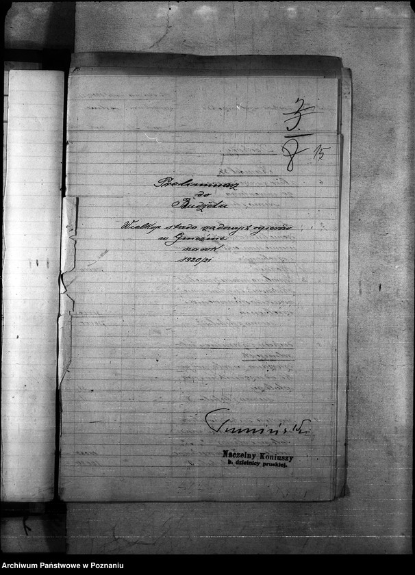 Obraz 18 z jednostki "Budżet Stadnin na rok 1921"