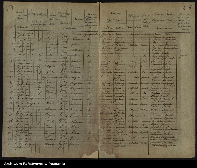 image.from.unit.number "Liber baptisatorum, copulatorum, mortuorum"