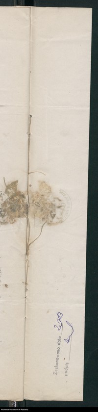 Obraz 13 z jednostki "A. betr. Max und Wladislaus Rychłowski"