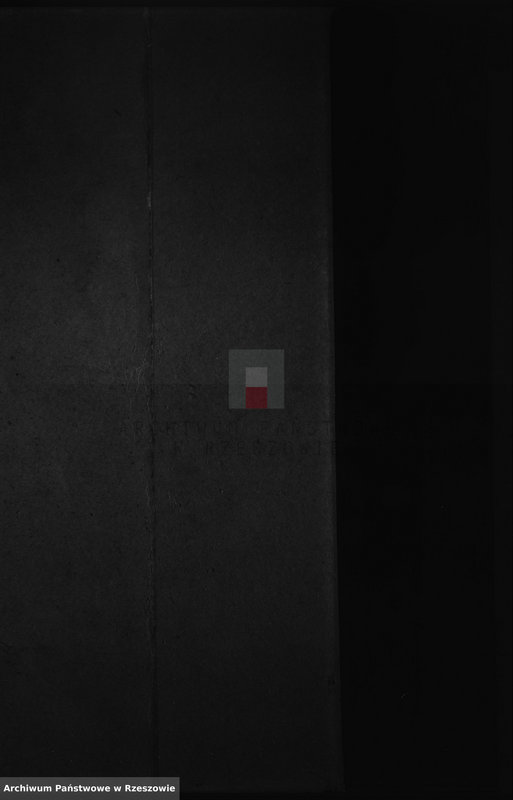 Obraz z jednostki "Księga urodzeń - Hyżne i Nieborów"