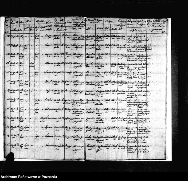 image.from.unit.number "Duplicat baptisatorum, copulatorum, mortuorum"