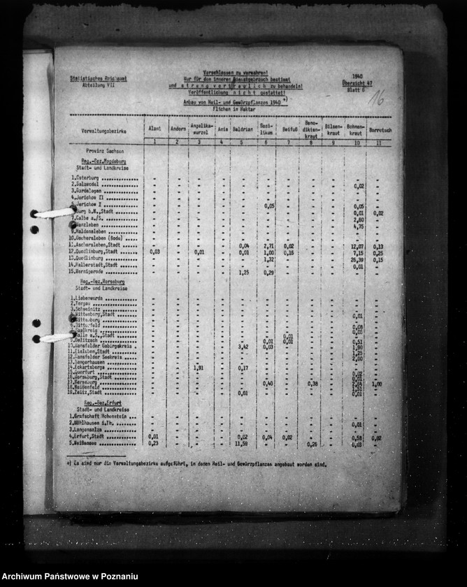 Obraz 20 z jednostki "Sachsen"