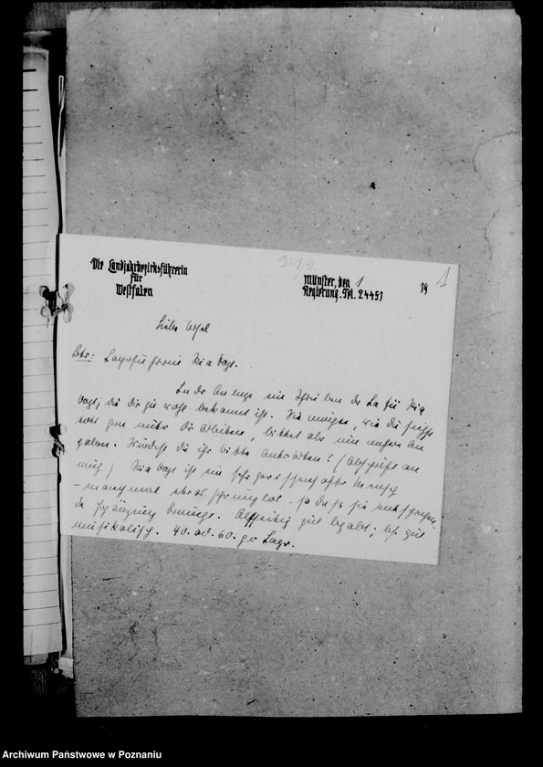 Obraz 5 z jednostki "Landjahrführerinnen"